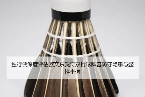 独行侠深度评估欧文东契奇双持球阵容防守隐患与整体平衡